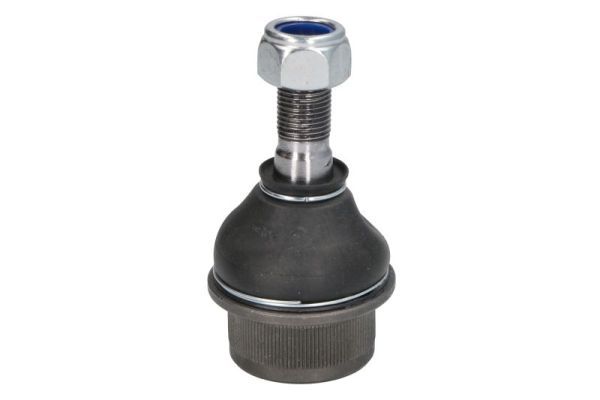 Trag-/Führungsgelenk