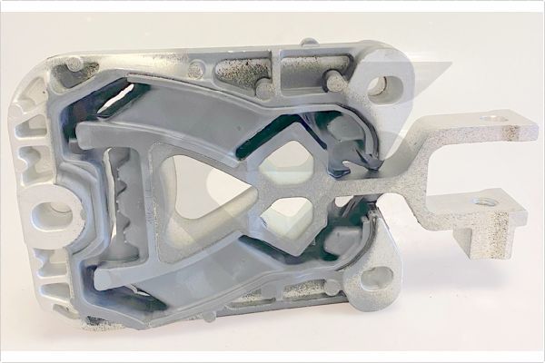 Halter, Motoraufhängung