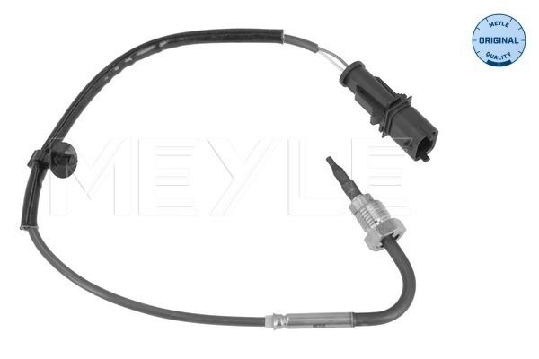 Sensor, Abgastemperatur