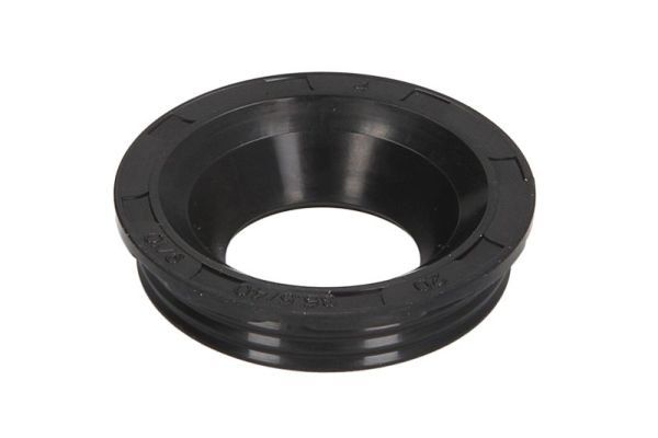 Dichtring, Einspritzventil