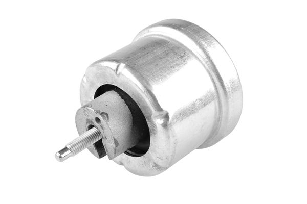 Halter, Motoraufhängung