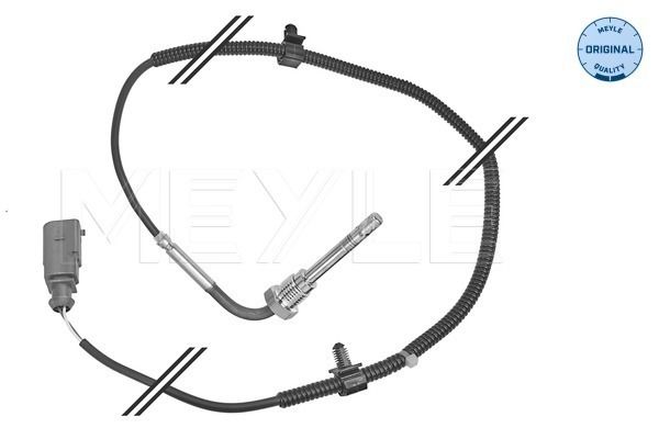 Sensor, Abgastemperatur