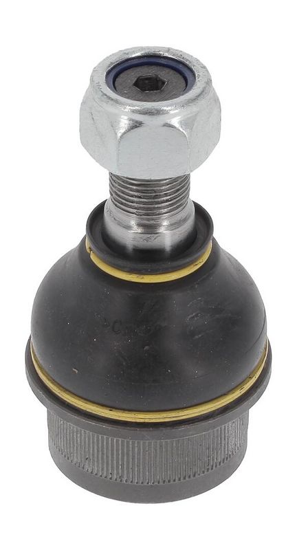 Trag-/Führungsgelenk