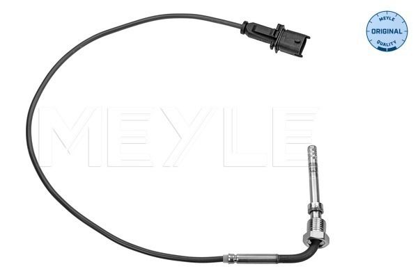 Sensor, Abgastemperatur