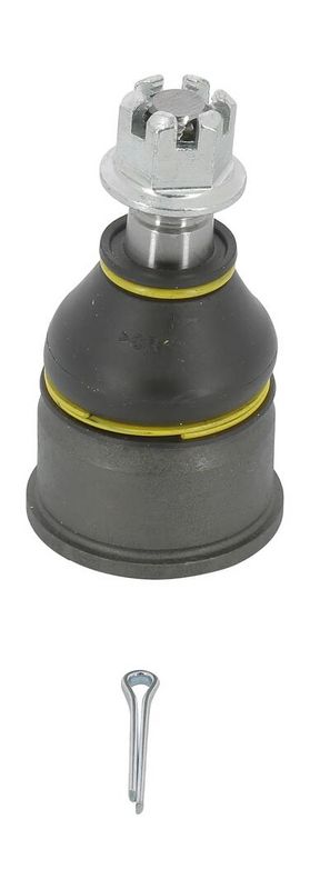 Trag-/Führungsgelenk