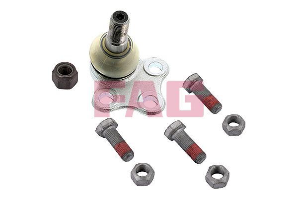 Trag-/Führungsgelenk