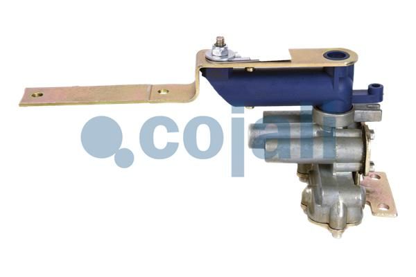 Dichtung, Wasserpumpe