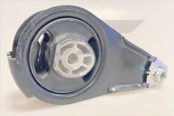 Halter, Motoraufhängung