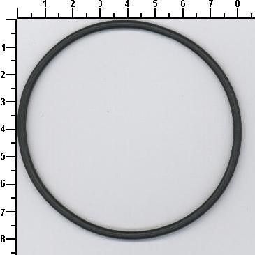 Dichtring