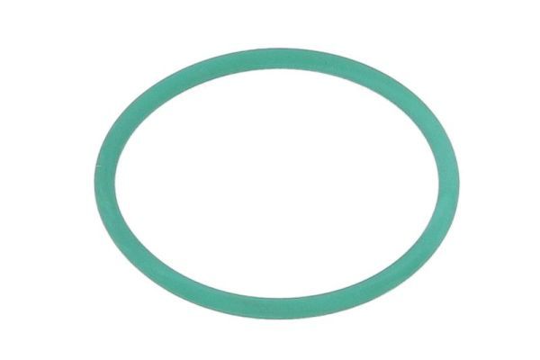 Dichtring, Einspritzventil