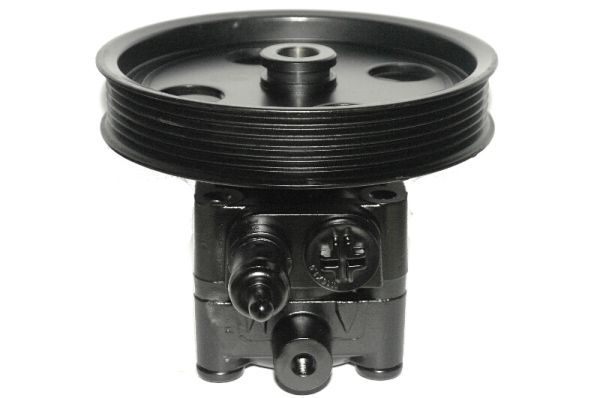 Hydraulikpumpe, Lenkung