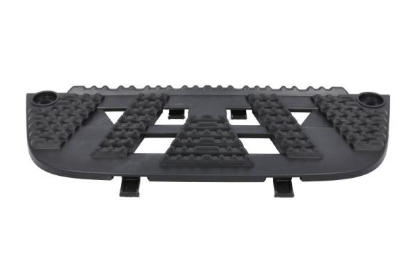 Türschwellen - Trittbrett