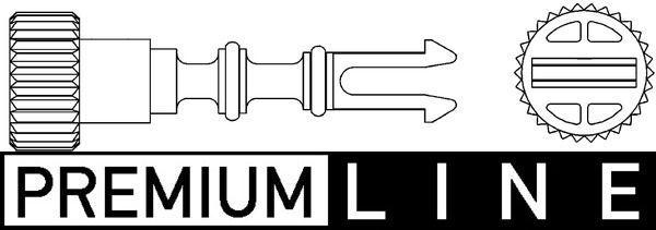 Schraube, Kühlerverschluss