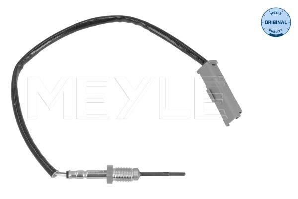 Sensor, Abgastemperatur