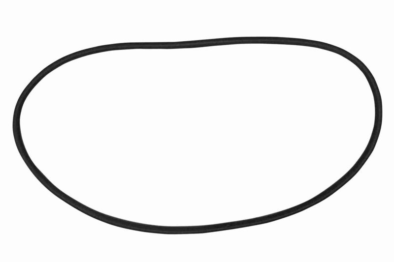 Frontscheibe - Dichtung