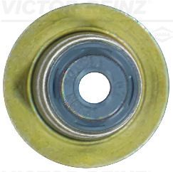 Dichtring, Ventilschaft