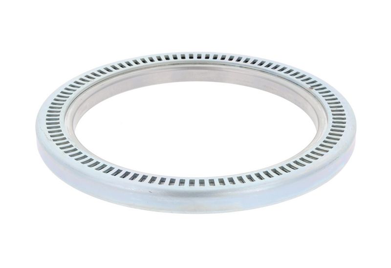 Wellendichtring, Radnabe