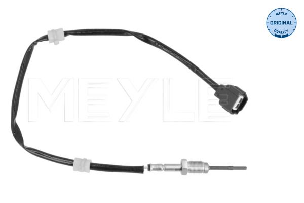 Sensor, Abgastemperatur