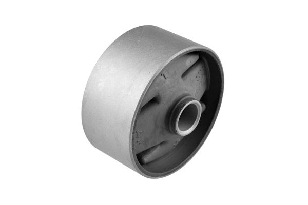 Halter, Motoraufhängung