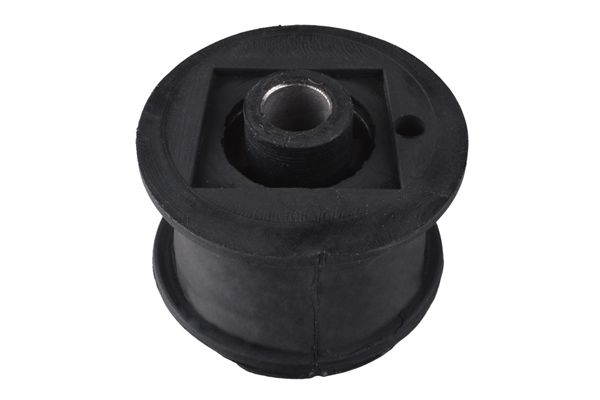 Halter, Motoraufhängung