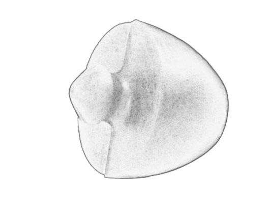 Anschlagpuffer, Federung